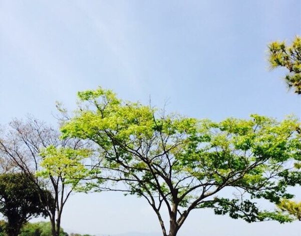 今朝の琵琶湖畔