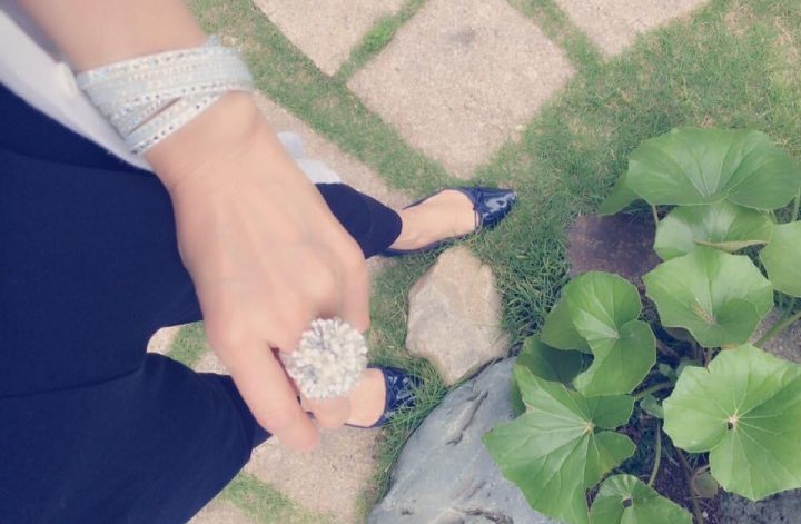 Navy × White
