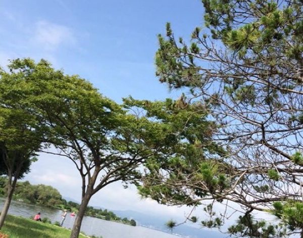 今朝の琵琶湖畔
