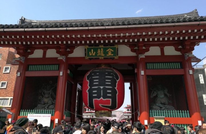 やっとその日が来たおばあちゃんと孫娘の旅