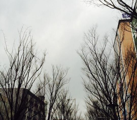 長靴が活躍♪今朝はしとしと雨