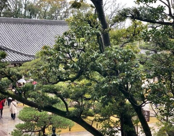 京都お墓まいり