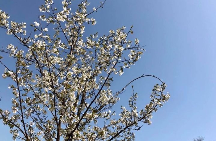 ３月最終日に想うこと