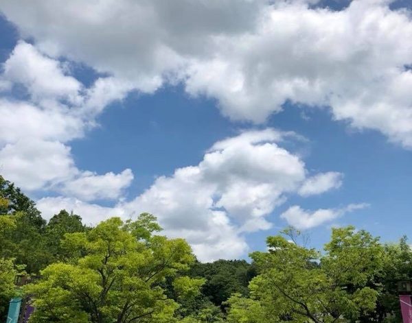 大学のキャンパスが気持ちいい♪