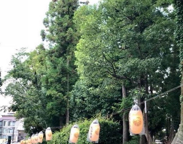 京都へお墓まいり