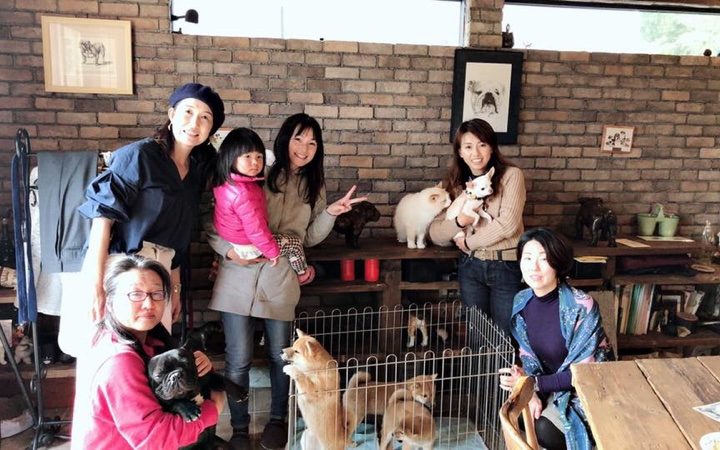 ワンちゃんと楽しむお茶会を密かに開催✨