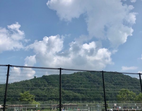 夏のテニスの試合