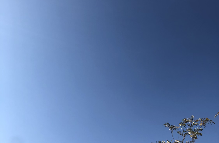 オーラ鑑定✨