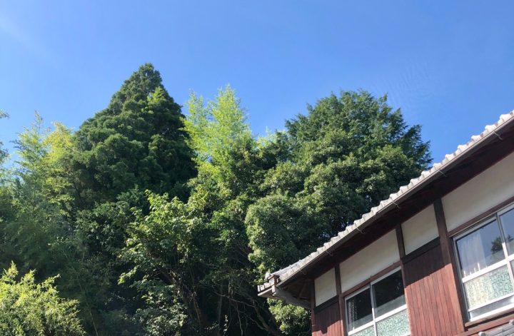 感じるお茶会@桐生