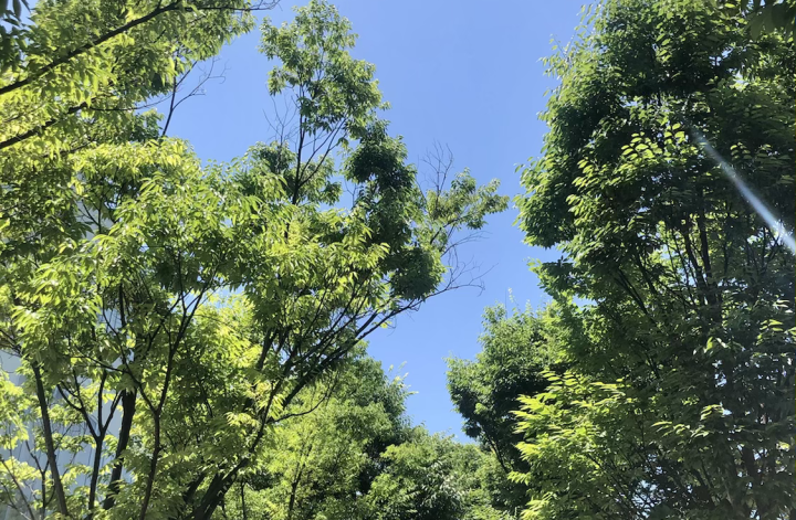 ちょっとした贅沢な時間