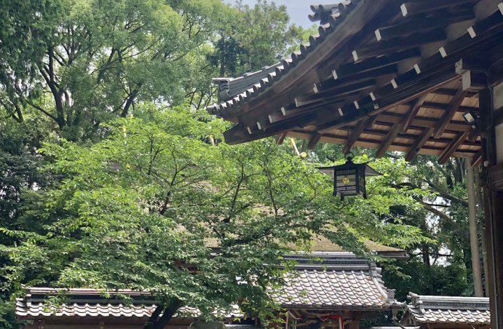 近所の馴染みの神社へ