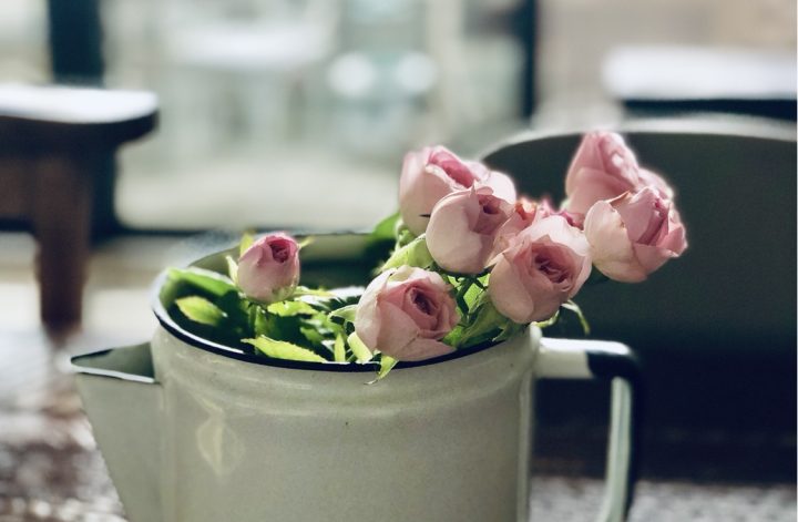 ピンクのお花