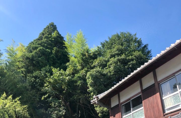 桐生でオーラ鑑定✨