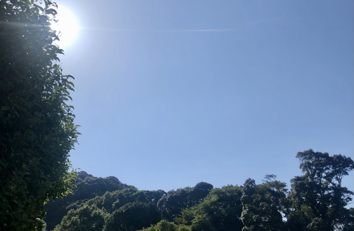 今日のお墓参り
