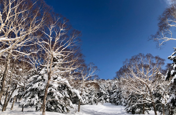 志賀高原の-6℃の青と白の非日常の銀世界✨