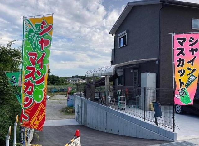 『矢橋マスカット農園💚』