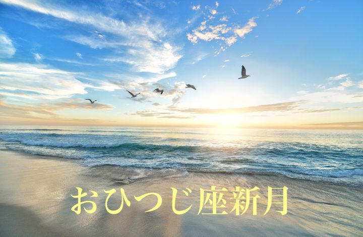今朝の朝捨離30分