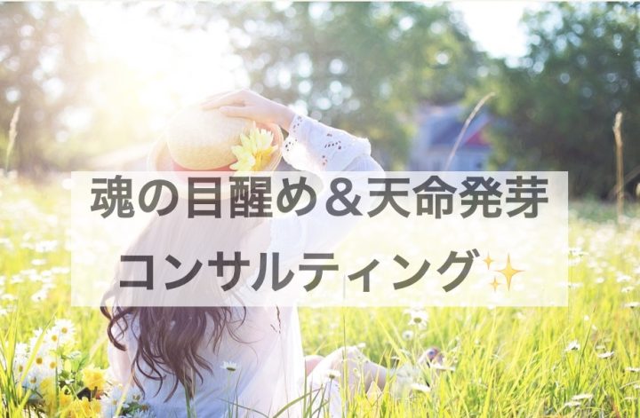 魂の目醒めコンサル0期