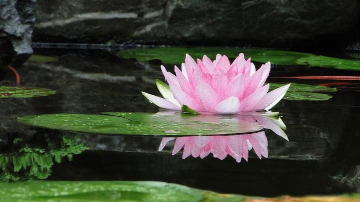 「私は決して人の悪口を言わない。。。」落とし穴