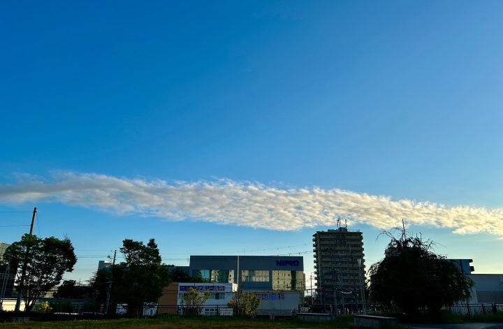 8/8 早朝の龍雲