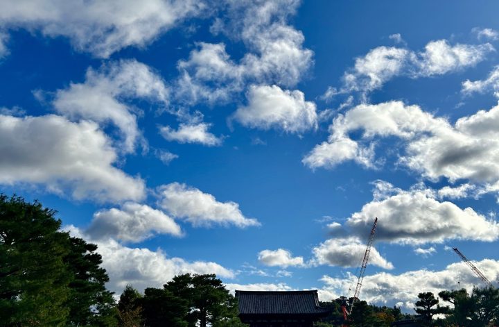 御室仁和寺の観音会