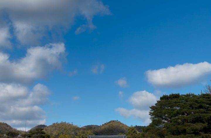 京都御室仁和寺へ