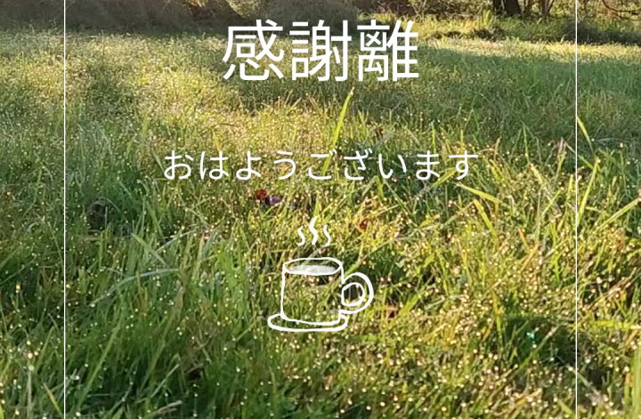 今朝の宇宙🪐朝☀️感謝離