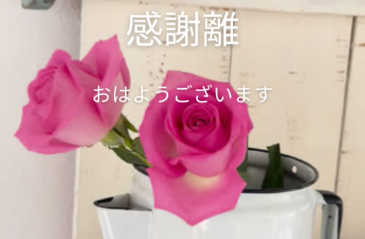 3月の火曜の朝感謝離4週目