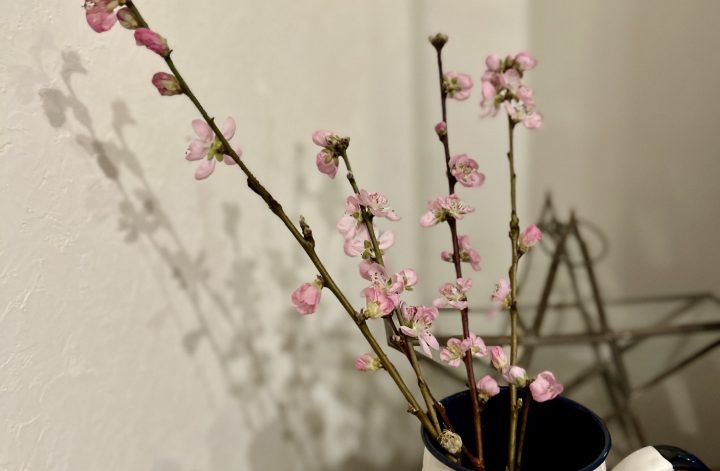 ひなまつり💞