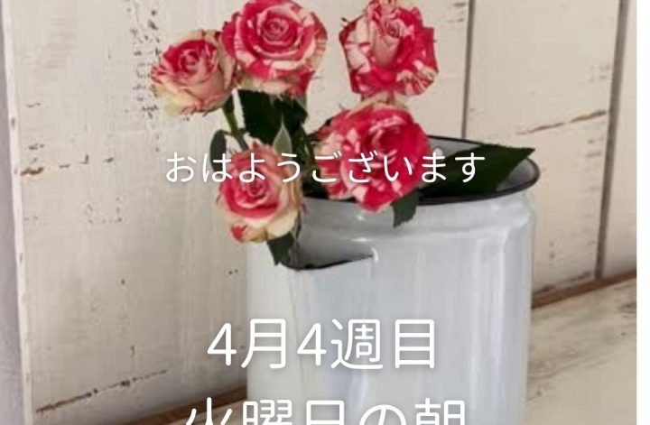 今朝の朝感謝離30分☀️