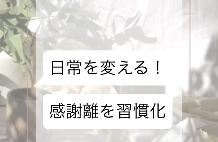 6月1週目✨火曜朝☀️感謝離
