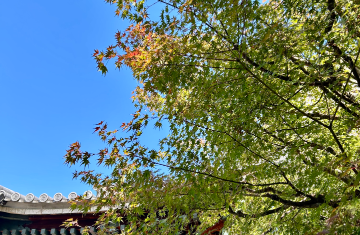 京都お墓まいり